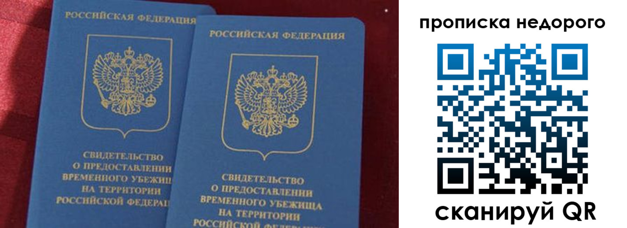 прописка гарантия в Смоленской области